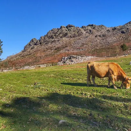 Hogar Gallan Domek alpejski *