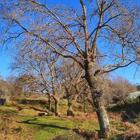 Hogar Gallán * Gondomar