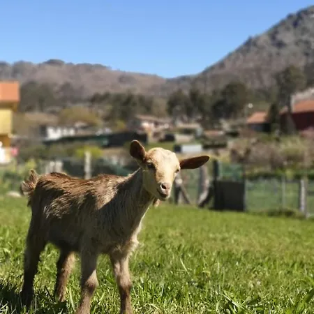 Hogar Gallan * Gondomar